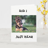 CARTE *21E ANNIVERSAIRE* CHIEN A TOUT ENTENDU À CE SUJET (Fleur jaune)