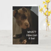 Carte *21st Birthday* FROM THIS COOL LIZARD (Fleur jaune)