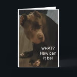 Carte *21st Birthday* FROM THIS COOL LIZARD<br><div class="desc">THANK YOU FOR STOP BY 1 OF MY 8 STORES. THIS CARD IS SO CUTE FOR ANY ONE TURNING 21 AND REMEMBER YOU CAN CHANGE THE VERSE INSIDE AND OUT IF YOU WISH !</div>