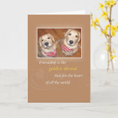 Carte 2740 Golden Retrievers Amitié Anniversaire (Fleur jaune)