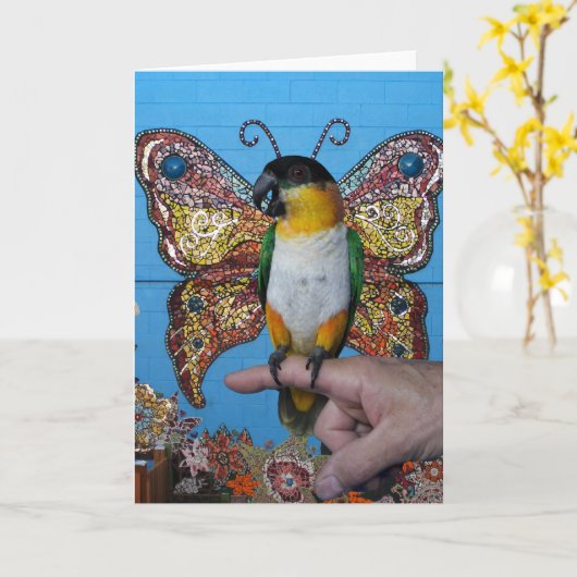 Carte 2 de papillon de Boingo (Fleur jaune)