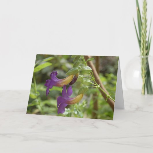 Carte 2 fleurs pourpres (Devant)