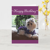 Carte 2 maltais (Fleur jaune)