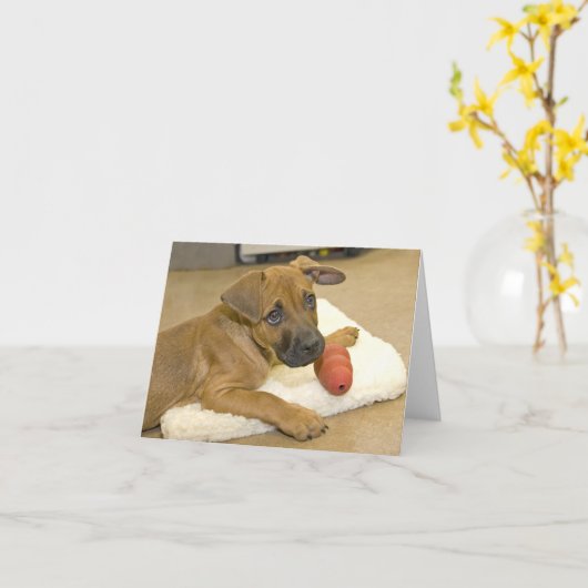 Carte 3 (Fleur jaune)