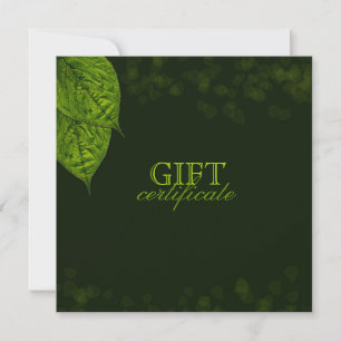 Carte 311 Certificat cadeau de feuille de rêve