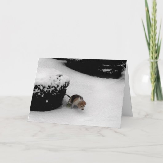 Carte 311-Graduation Félicz (Devant)