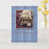 Carte 3756 je suis chiot désolé (Fleur jaune)