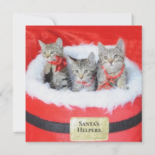 Carte 3 Cute Kittens Père Noël Petit Helpers (Devant)