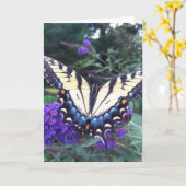 Carte 3 de papillon de machaon (Fleur jaune)