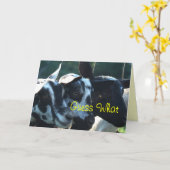 Carte 3 gosses de chèvre customisent n'importe quelle (Fleur jaune)