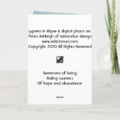 Carte 3 jeunes cygnes dans les algues (Dos)