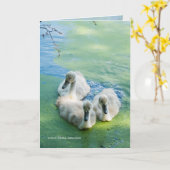 Carte 3 jeunes cygnes dans les algues (Fleur jaune)