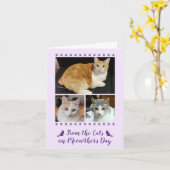 Carte 3 Script photo chat chien animal de compagnie enfa (Fleur jaune)