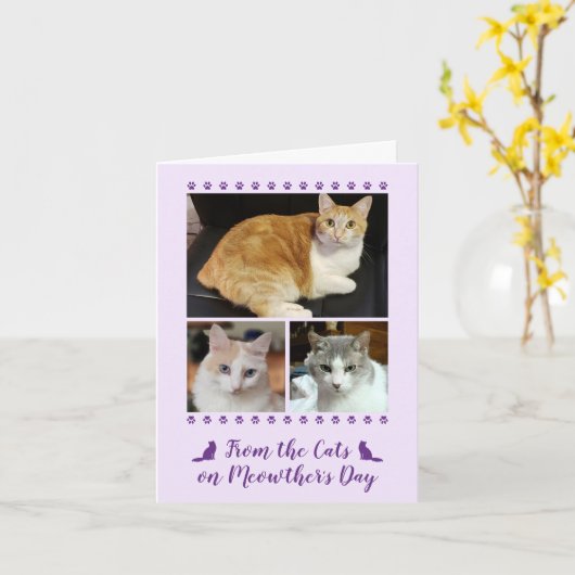 Carte 3 Script photo chat chien animal de compagnie enfa (Fleur jaune)