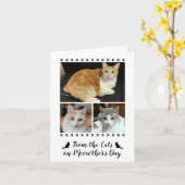 Carte 3 Script photo de chat chien animal de compagnie e (Fleur jaune)