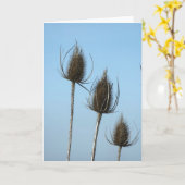 Carte 3 Teazles Card (Fleur jaune)