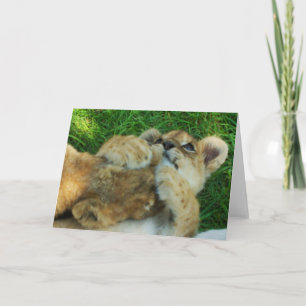 Carte 4