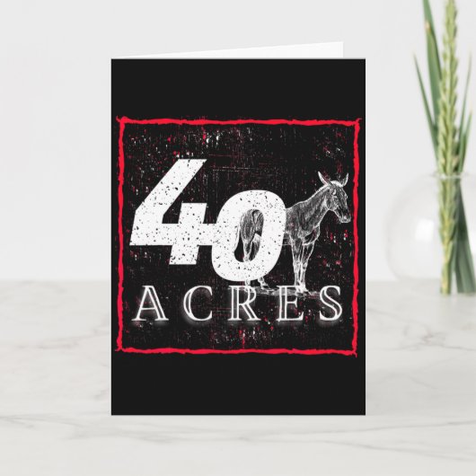 Carte 40 Acres And A Mule Black History T Shirt  (Devant)