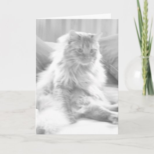 Carte 40e anniversaire Cougar (Devant)