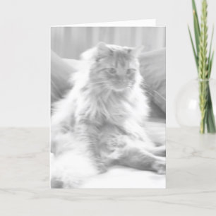 Carte 40e anniversaire Cougar