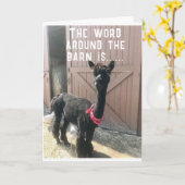 Carte "40e ANNIVERSAIRE ? ? ? NE PEUT JUSTE PAS CROIRE L (Fleur jaune)