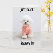 Carte "40e ANNIVERSAIRE ? ? ? NE PEUT JUSTE PAS CROIRE L (Fleur jaune)