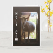 Carte "40e ANNIVERSAIRE ? ? ? NE PEUT JUSTE PAS CROIRE L (Fleur jaune)