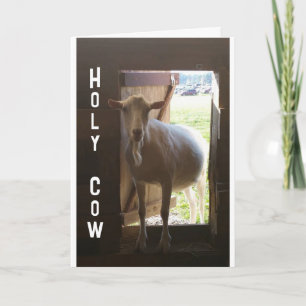 Carte "40e ANNIVERSAIRE ? ? ? NE PEUT JUSTE PAS CROIRE L