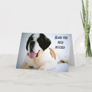Carte 40e anniversaire SECOURT CHIEN