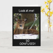 Carte "40e ANNIVERSAIRE SOUHAITE" D'UN CERF (Fleur jaune)