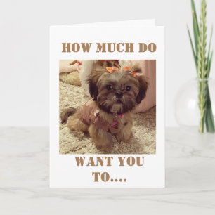 Carte **40e ANNIVERSAIRE** SOUHAITS DE CE POPE DOUX