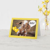 Carte **40th BIRTHDAY** WISHES FROM A SILLY LITTLE GOAT (Fleur jaune)