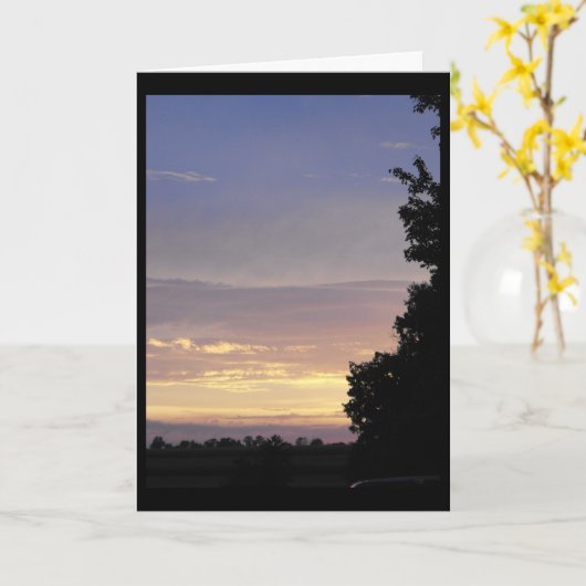 CARTE 41 (Fleur jaune)