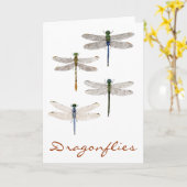 Carte 4 espèces de libellules (Fleur jaune)