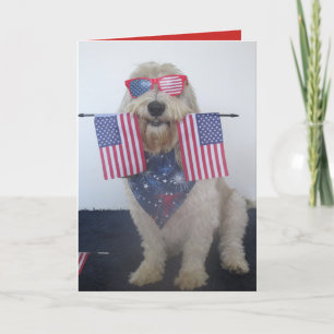 Carte 4 juillet chien