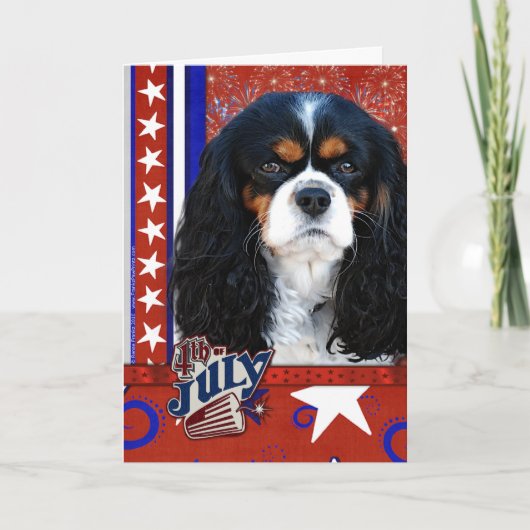 Carte 4 juillet Firecracker - Cavalier - Tri-color (Devant)
