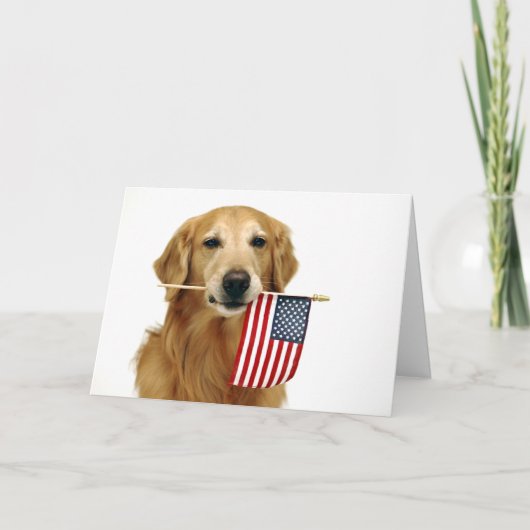 Carte 4 juillet Golden Retriever (Devant)