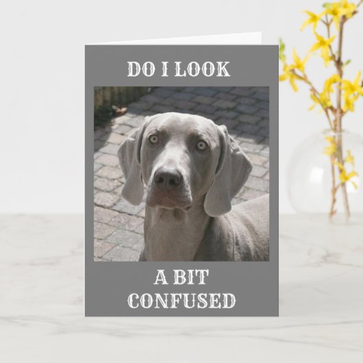 CARTE "50" COMMENT PEUT-ON DIRE WEIMARANER CARD (Fleur jaune)