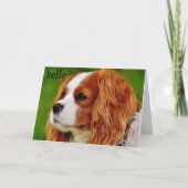 CARTE **50** COMMENT SE SENTENT-ILS L'HUMOUR D'ANNIVERSA (Devant)