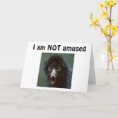 CARTE **50 ?** VOUS NE REGARDEZ PAS UNE JOURNÉE SUR 49 ? (Fleur jaune)