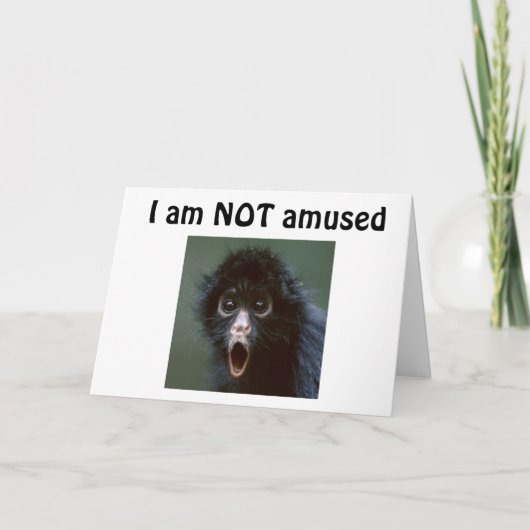 CARTE **50 ?** VOUS NE REGARDEZ PAS UNE JOURNÉE SUR 49 ? (Devant)