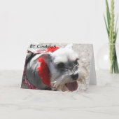 Carte 50e anniversaire (Dos)