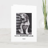 Carte 50e Anniversaire Carte, Rodéo ! (Dos)