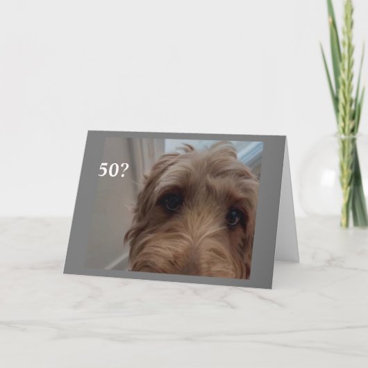 Carte *50e ANNIVERSAIRE* CHIEN CHOQUÉ DIT HEUREUX ANNIVE (Devant)