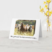 Carte **50e ANNIVERSAIRE** LES CHEVAUX DE TEMPS DE PLAIS (Fleur jaune)