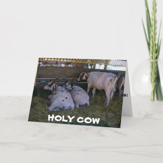 Carte **50e ANNIVERSAIRE ?** NE VOUS INQUIÈTEZ PAS QUE N (Devant)