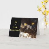 Carte **50e HUMOUR D'ANNIVERSAIRE** NE L'ATTENDAIT PAS! (Fleur jaune)