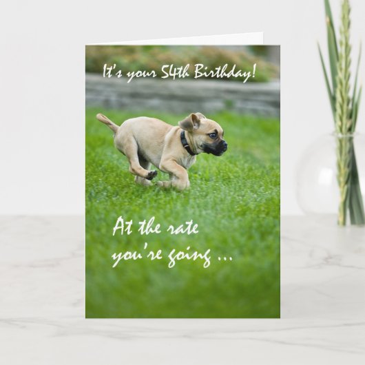 Carte 54e anniversaire Puppy Running (Devant)