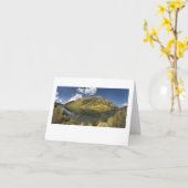 Carte 550 au silverton (Fleur jaune)