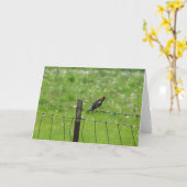 Carte 5 6 2009 044, Bobolink sur un pied (Fleur jaune)